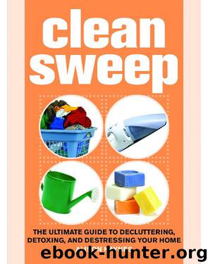 Clean Sweep by Alison Haynes
