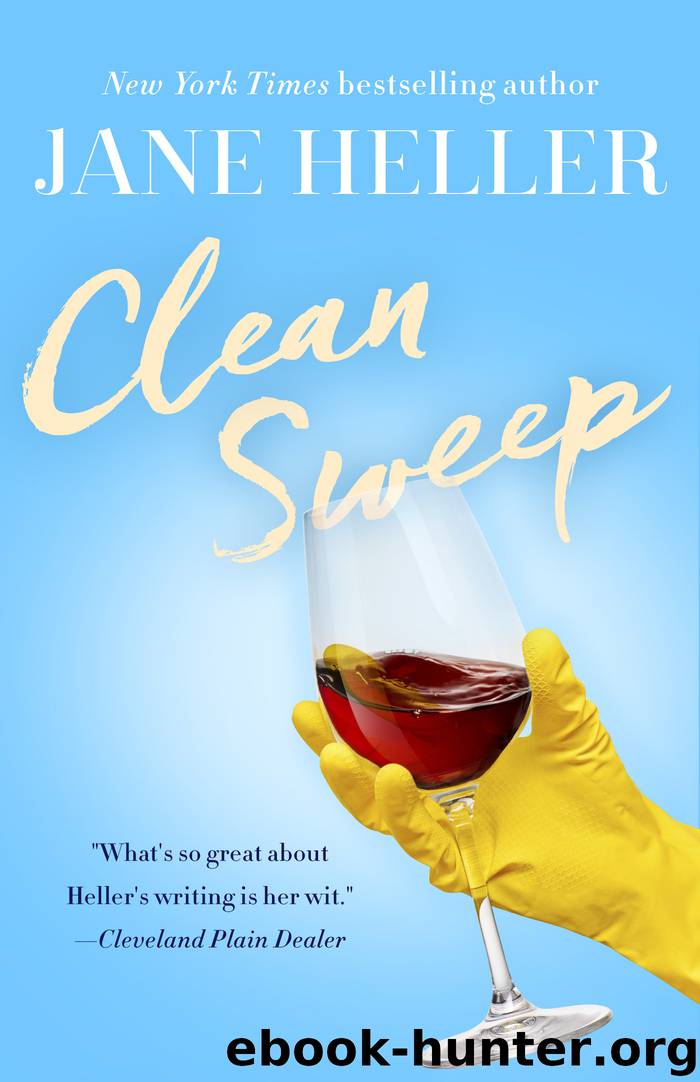 Clean Sweep by Jane Heller