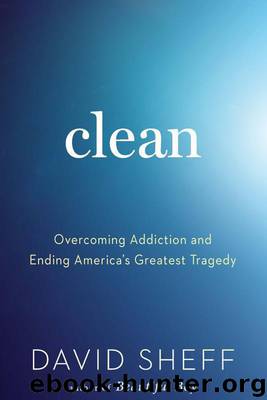 Clean: Overcoming Addiction and Ending America's Greatest Tragedy by David Sheff