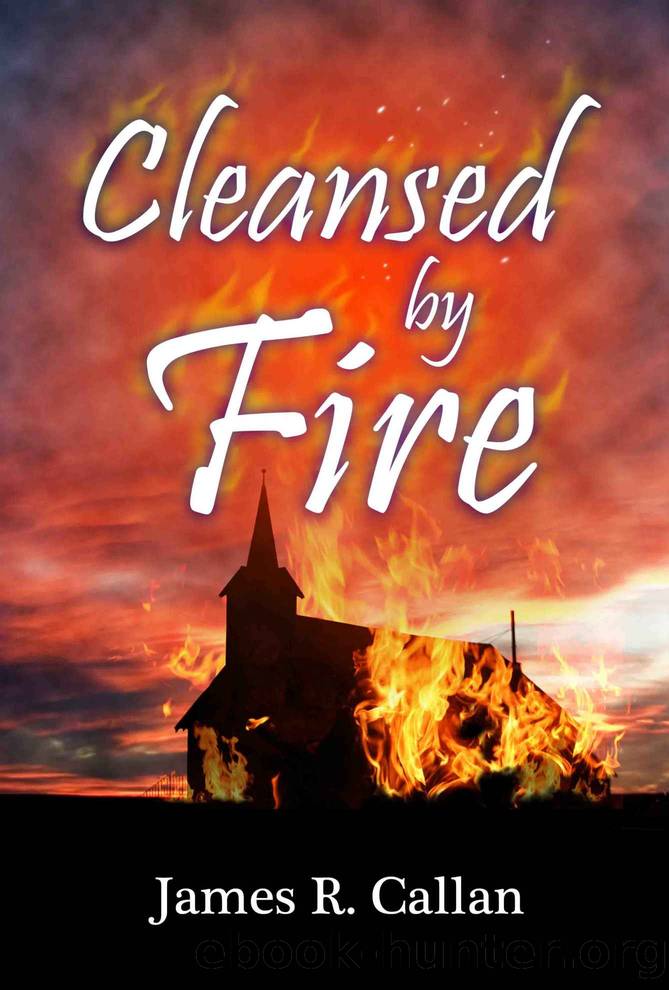 Cleansed by Fire (Father Frank Mysteries Book 1) by James R. Callan
