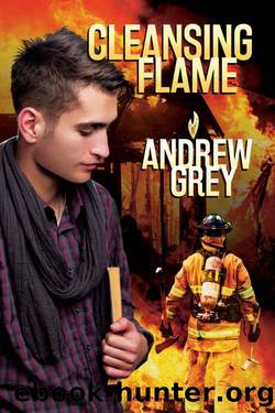 Cleansing Flame (Rekindled Flame Book 2) by Andrew Grey