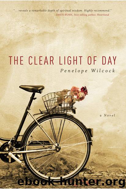 Clear Light of Day by Penelope Wilcock
