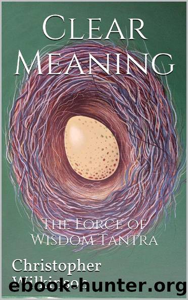 Clear Meaning: The Force of Wisdom Tantra by Christopher Wilkinson