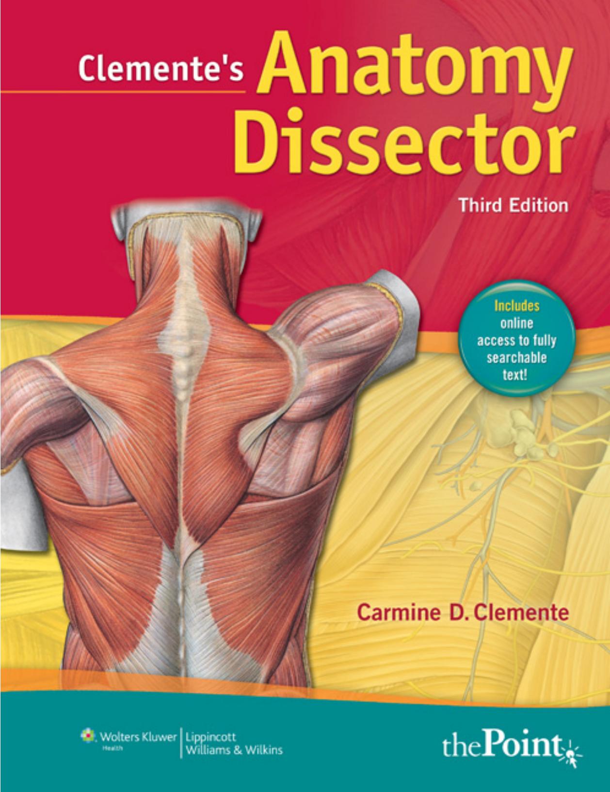 Clemente's Anatomy Dissector by Clemente