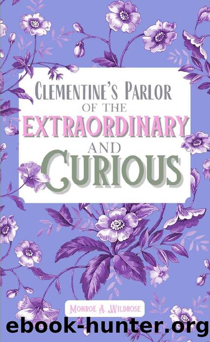 Clementine's Parlor of the Extraordinary and Curious by Monroe Wildrose