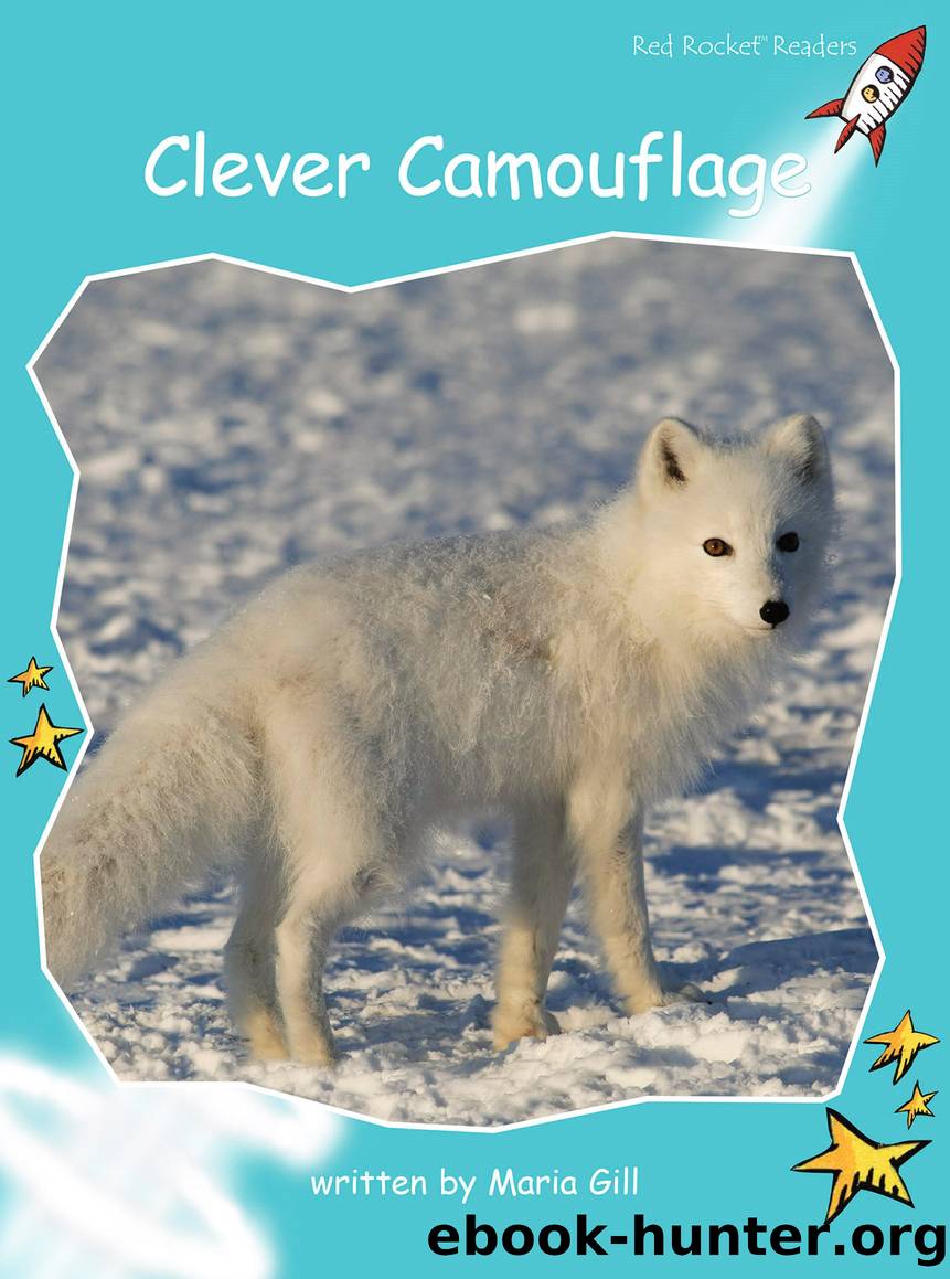 Clever Camouflage (US Edition) by Maria Gill