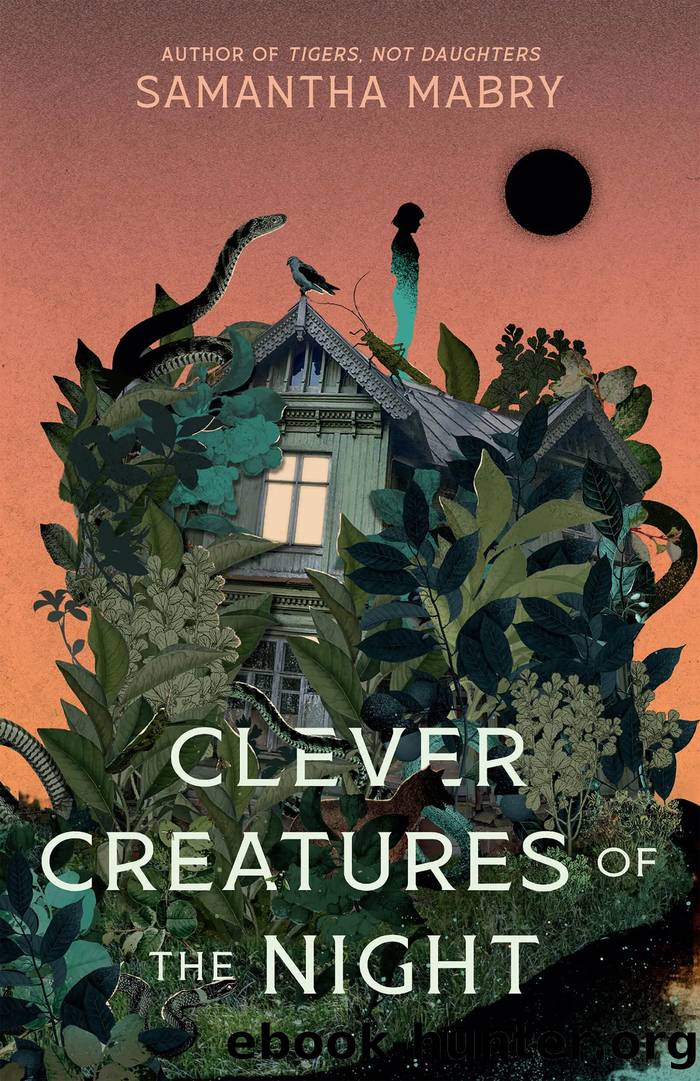 Clever Creatures of the Night by Samantha Mabry
