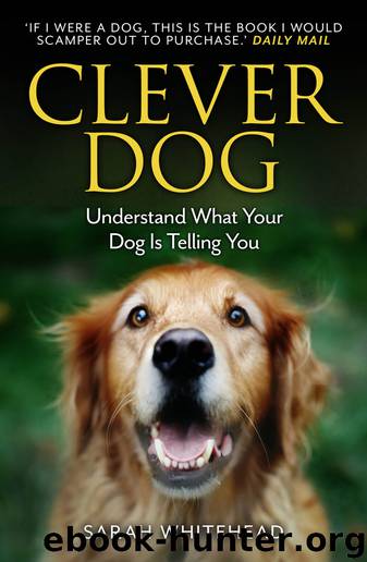 Clever Dog by Sarah Whitehead