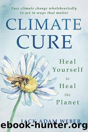 Climate Cure by Jack Adam Weber