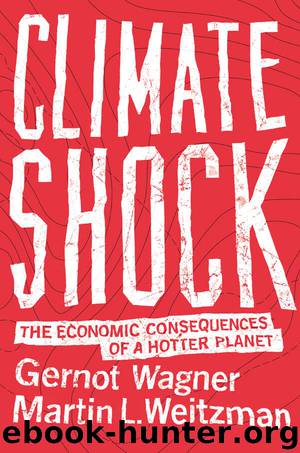 Climate Shock: The Economic Consequences of a Hotter Planet by Martin Weitzman