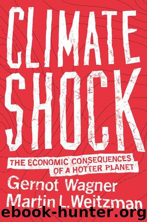 Climate Shock: The Economic Consequences of a Hotter Planet by Wagner Gernot & Weitzman Martin L