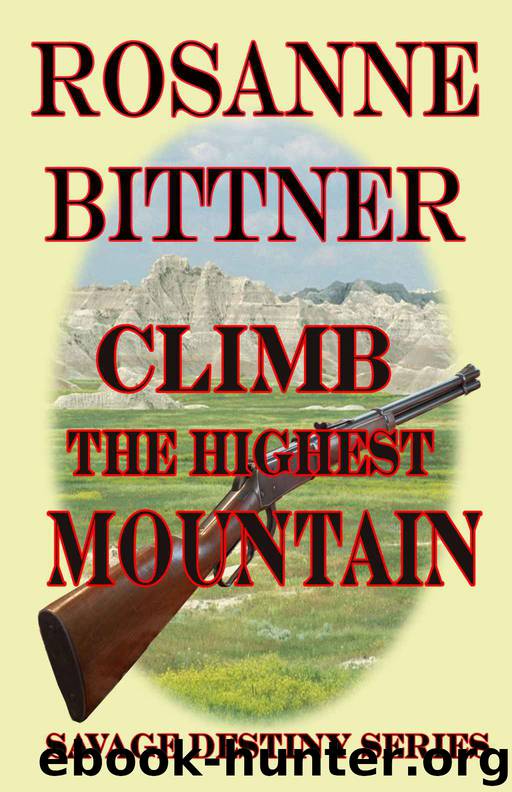 Climb the Highest Mountain by Rosanne Bittner