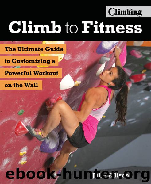 Climb to Fitness by Julie Ellison
