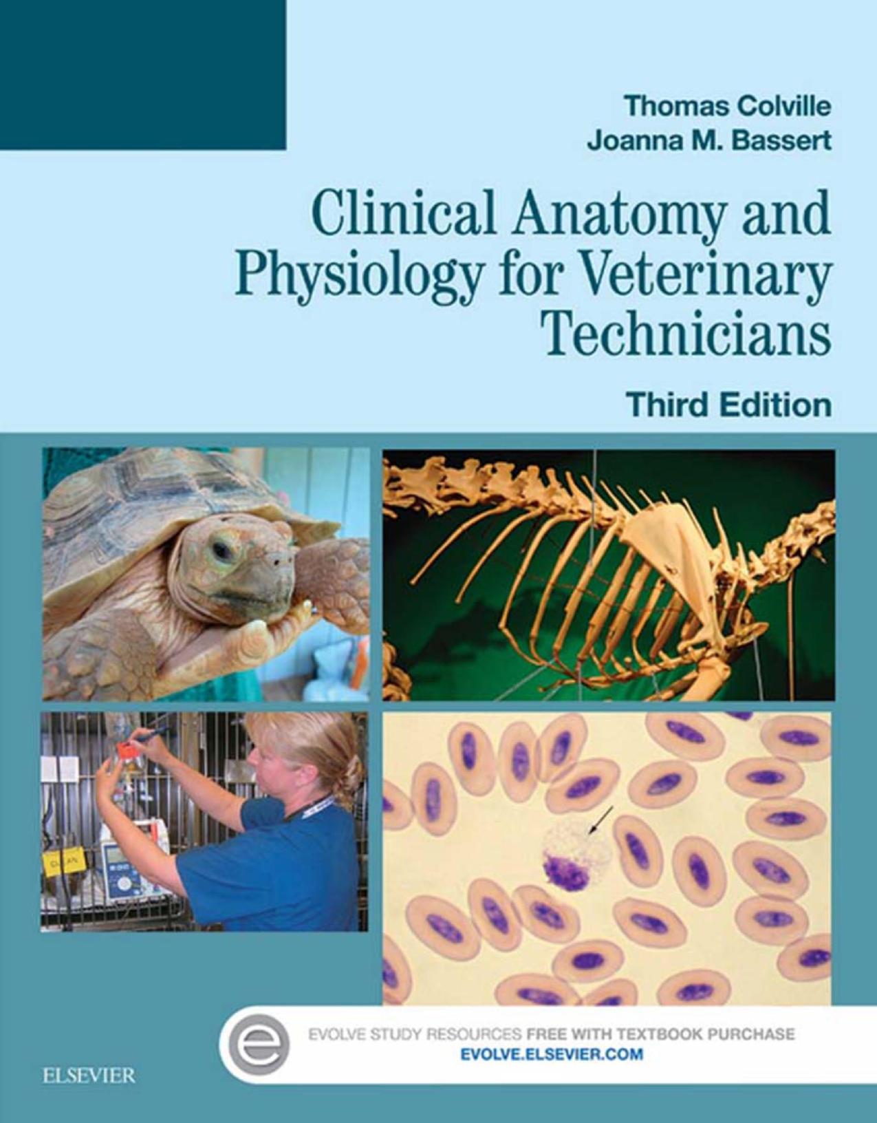 Clinical Anatomy and Physiology for Veterinary Technicians by Colville Thomas P. Bassert Joanna M