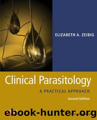 Clinical Parasitology - E-Book: A Practical Approach by Elizabeth Zeibig