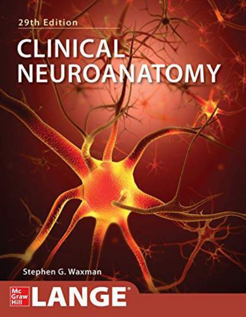 Clinical neuroanatomy Lange 2021 29th by Stephen Waxman