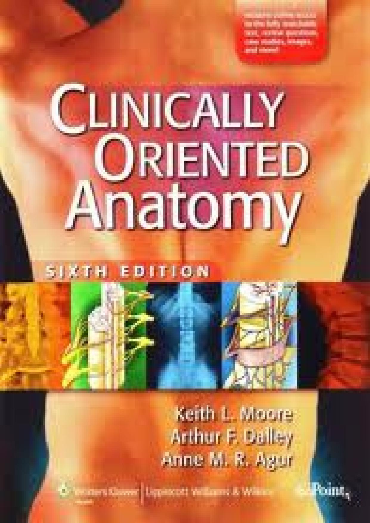 Clinically Oriented Anatomy, 6th Edition (Repost) by unknow