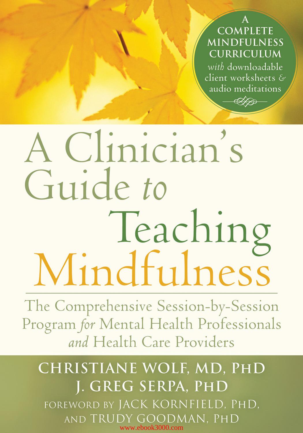 Clinician's Guide to Teaching Mindfulness: The Comprehensive Session-by-Session Program for Mental Health Professionals by Unknow