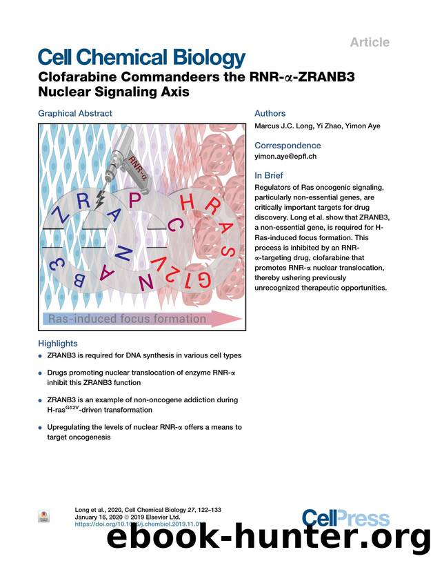 Clofarabine Commandeers the RNR-&alpha;-ZRANB3 Nuclear Signaling Axis by Marcus J.C. Long & Yi Zhao & Yimon Aye