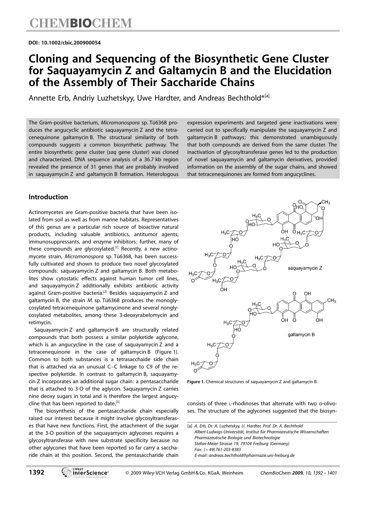 Cloning and Sequencing of the Biosynthetic Gene Cluster for Saquayamycin Z and Galtamycin B and the Elucidation of the Assembly of Their Saccharide Chains by Unknown