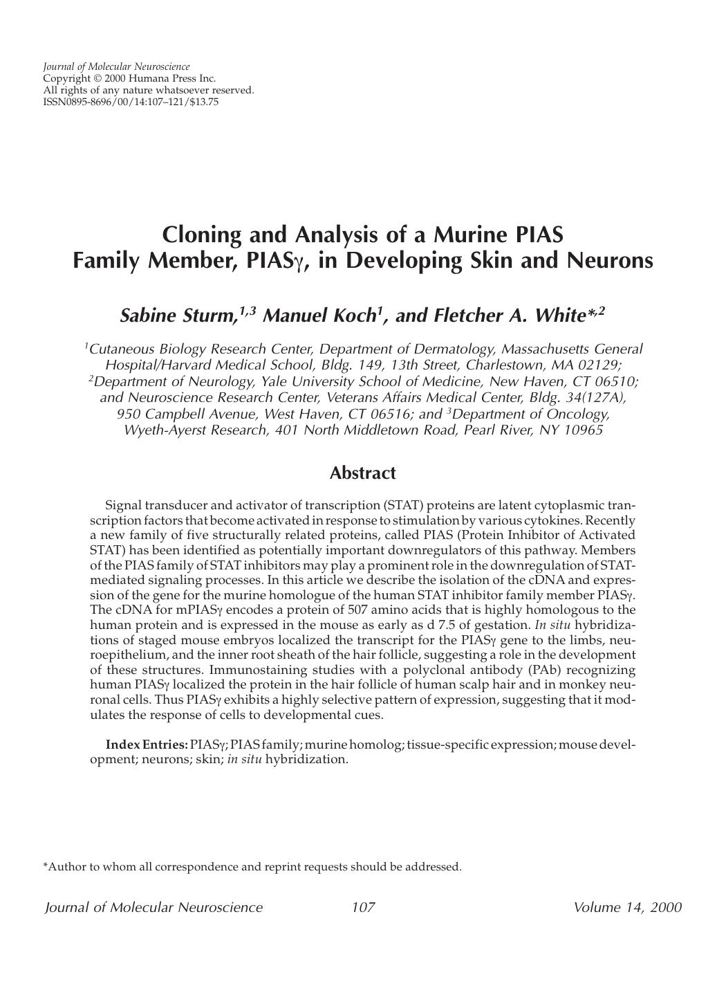 Cloning and analysis of a murine PIAS family member, PIASγ, in developing skin and neurons by Unknown