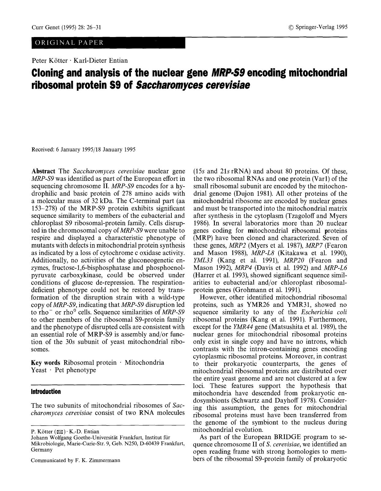 Cloning and analysis of the nuclear gene <Emphasis Type="Italic">MRP-S9<Emphasis> encoding mitochondrial ribosomal protein S9 of <Emphasis Type="Italic">Saccharomyces cerevisiae<Emphasis> by Unknown