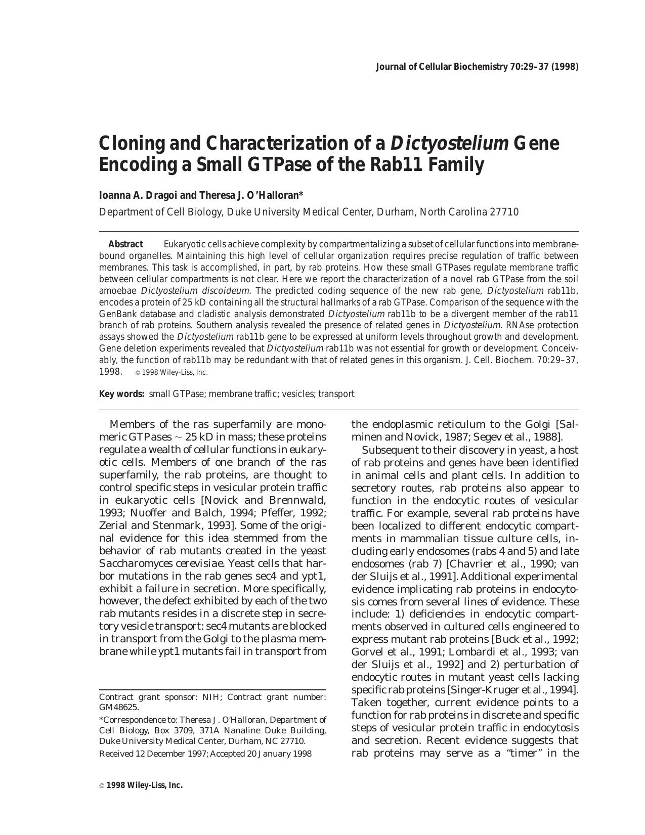 Cloning and characterization of a Dictyostelium gene encoding a small GTPase of the Rab11 family by Unknown