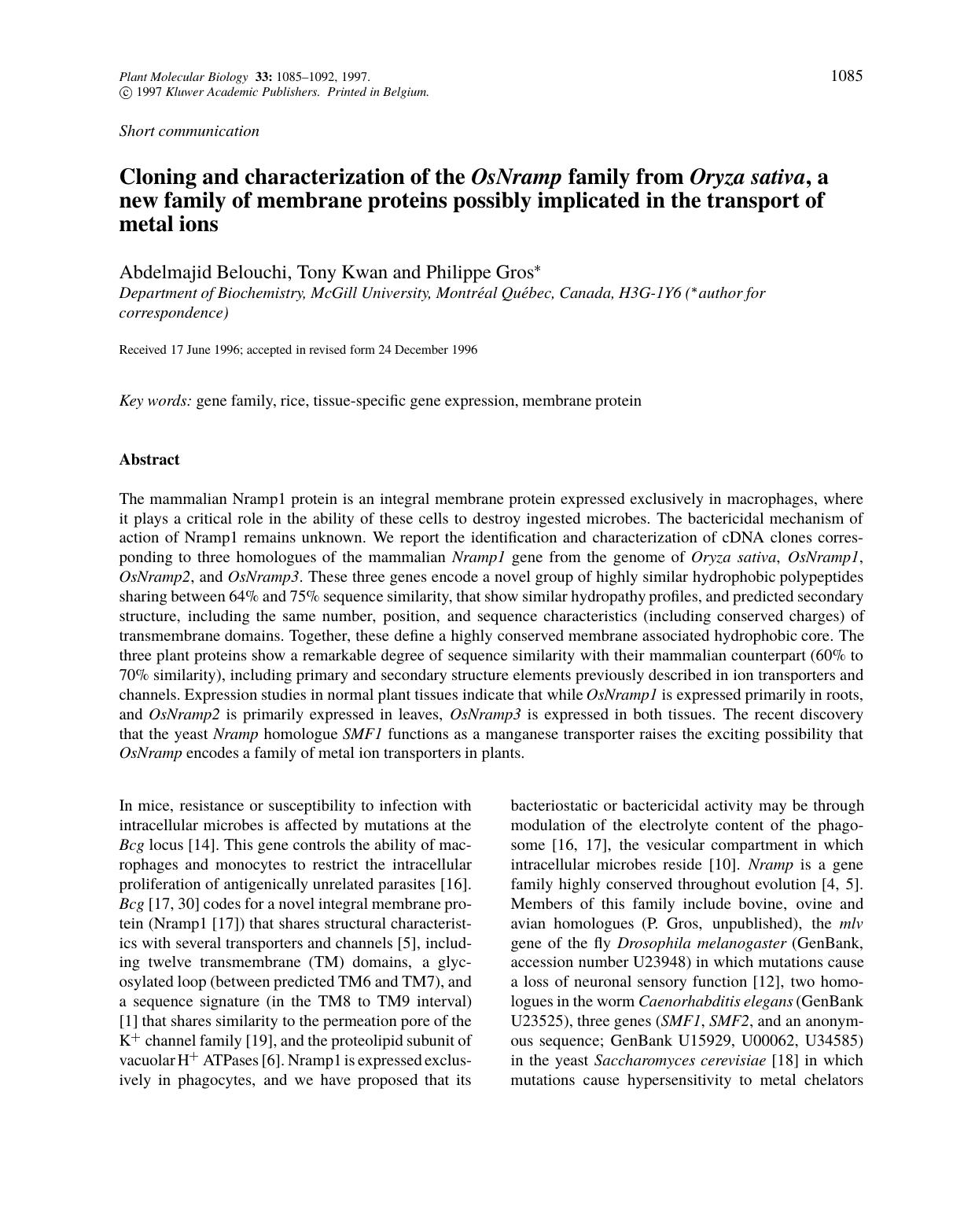 Cloning and characterization of the <Emphasis Type="Italic">OsNramp<Emphasis> family from <Emphasis Type="Italic">Oryza sativa<Emphasis>, a new family of membrane proteins possibly by Unknown