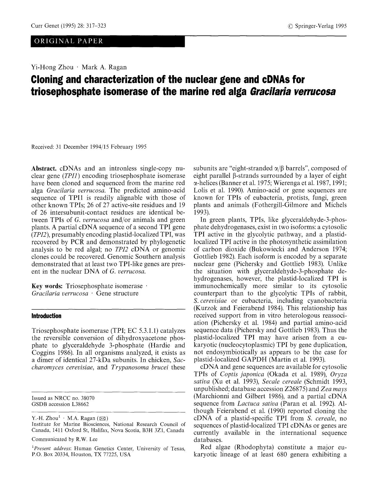 Cloning and characterization of the nuclear gene and cDNAs for triosephosphate isomerase of the marine red alga <Emphasis Type="Italic">Gracilaria verrucosa<Emphasis> by Unknown