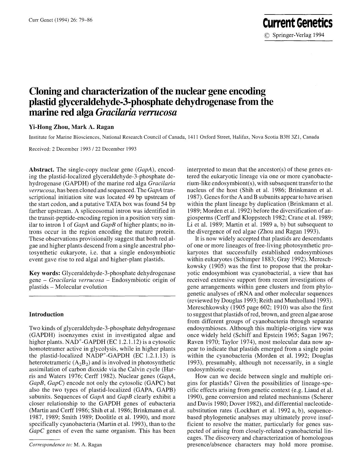 Cloning and characterization of the nuclear gene encoding plastid glyceraldehyde-3-phosphate dehydrogenase from the marine red alga <Emphasis Type="Italic">Gracilaria verrucosa<Emphasis> by Unknown