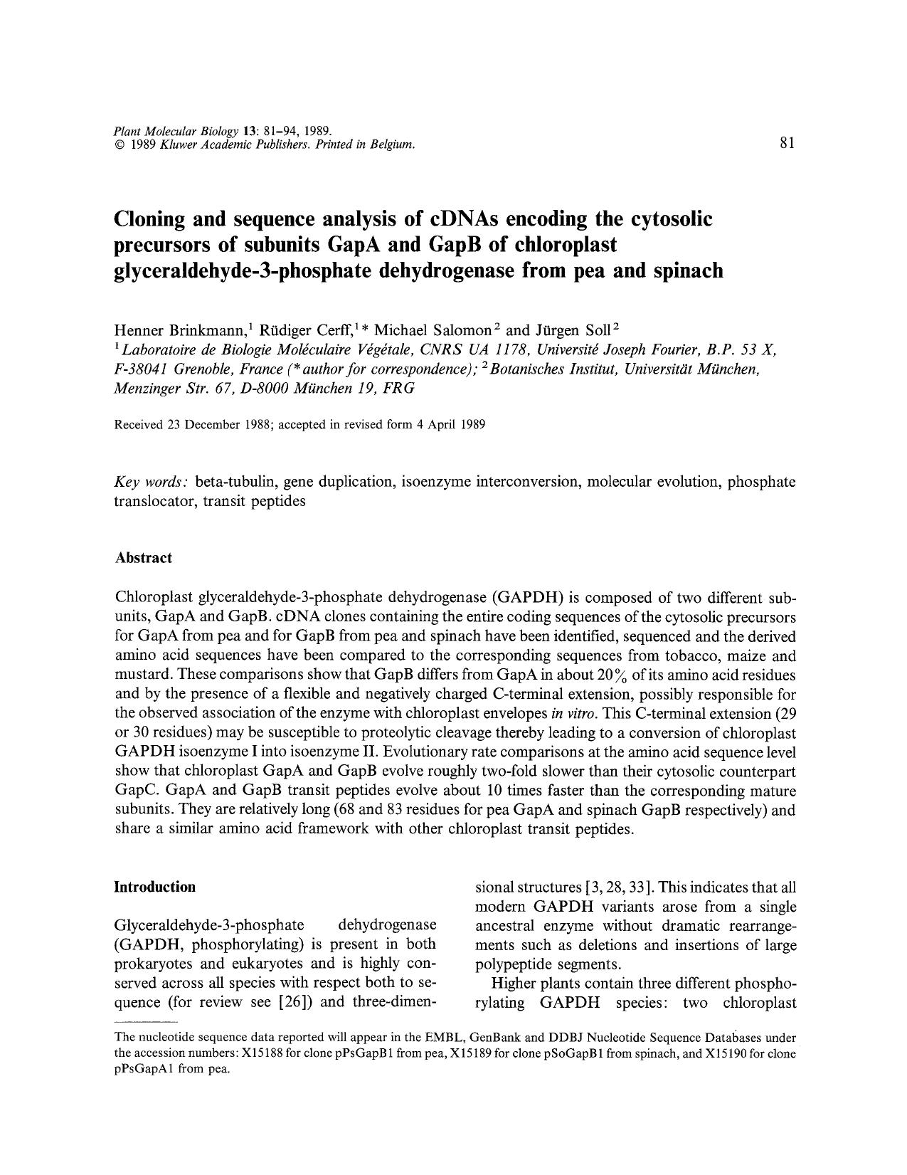 Cloning and sequence analysis of cDNAs encoding the cytosolic precursors of subunits GapA and GapB of chloroplast glyceraldehyde-3-phosphate dehydrogenase from pea and spinach by Unknown