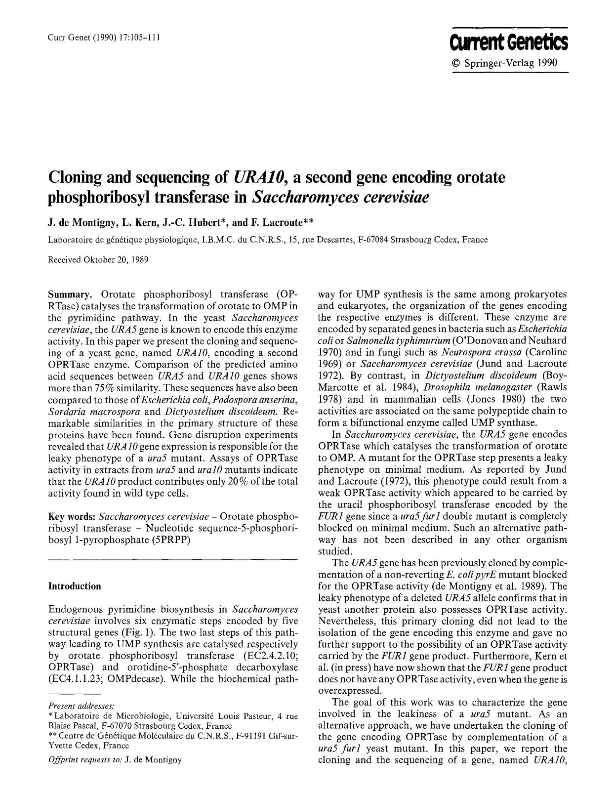 Cloning and sequencing of <Emphasis Type="Italic">URA10<Emphasis>, a second gene encoding orotate phosphoribosyl transferase in <Emphasis Type="Italic">Saccharomyces cerevisiae<Emphasis> by Unknown