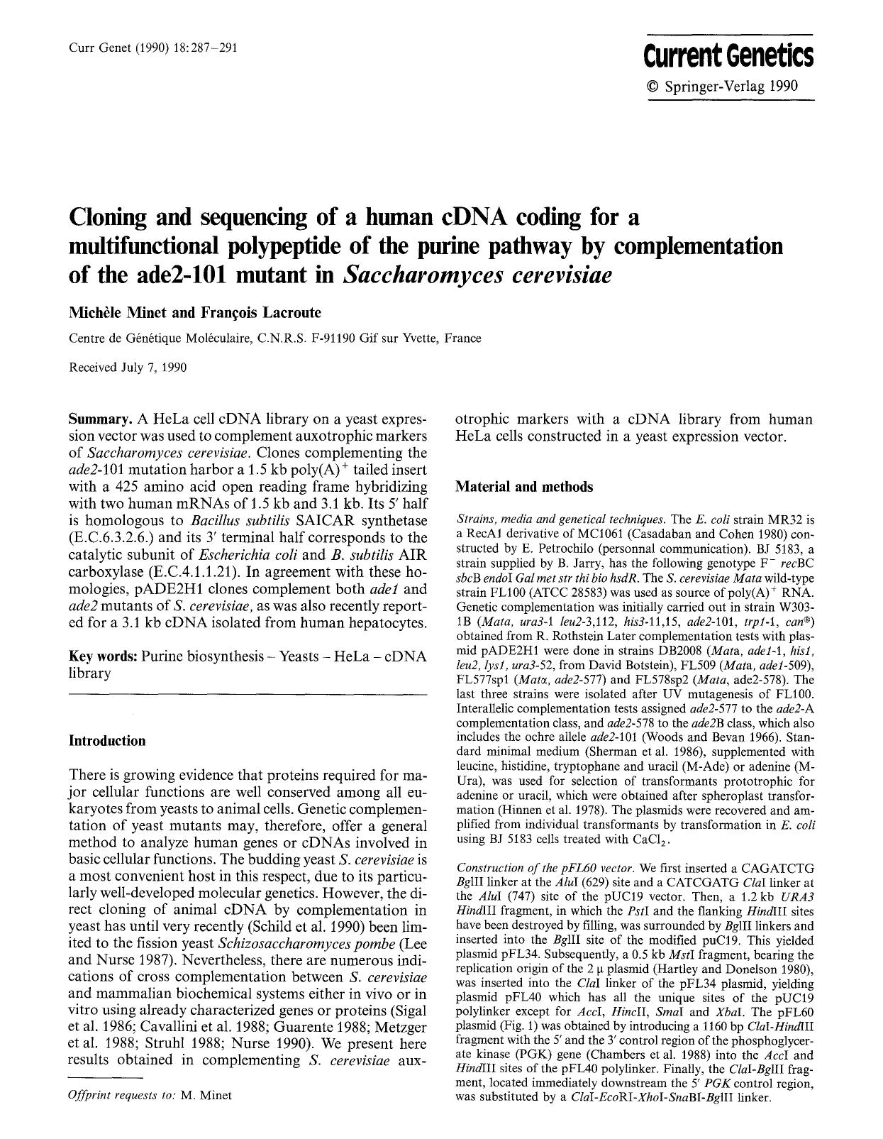 Cloning and sequencing of a human cDNA coding for a multifunctional polypeptide of the purine pathway by complementation of the ade2-101 mutant in <Emphasis Type="Italic">Saccharom by Unknown
