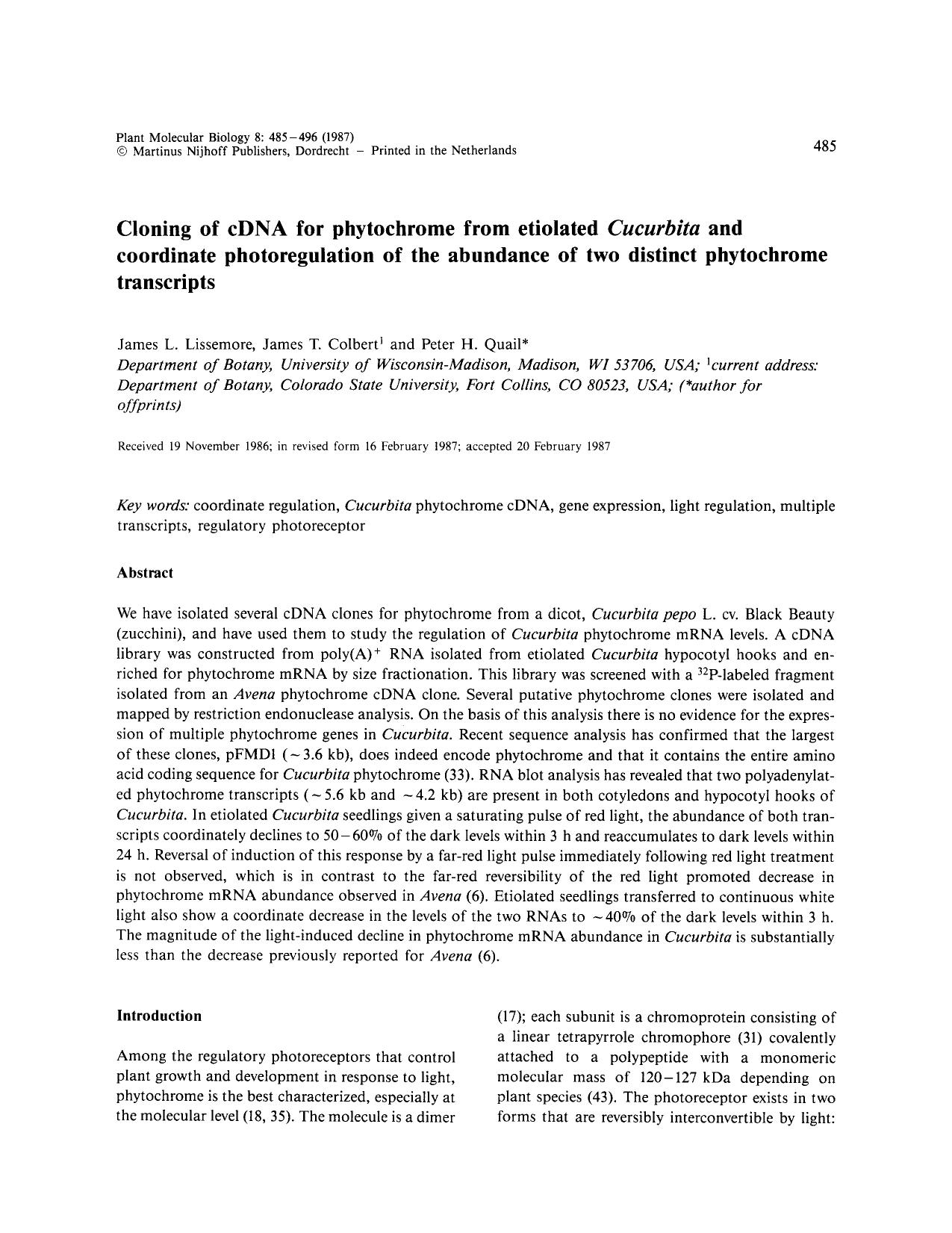 Cloning of cDNA for phytochrome from etiolated <Emphasis Type="Italic">Cucurbita<Emphasis> and coordinate photoregulation of the abundance of two distinct phytochrome transcripts by Unknown
