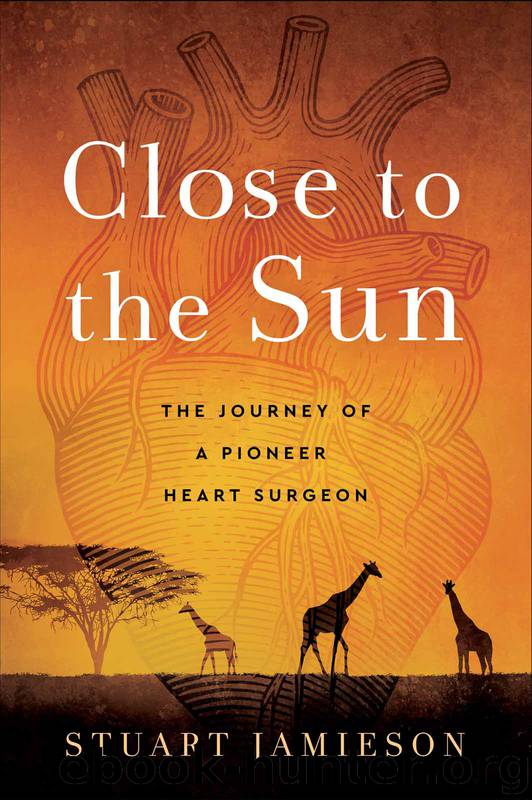 Close to the Sun by Stuart Jamieson