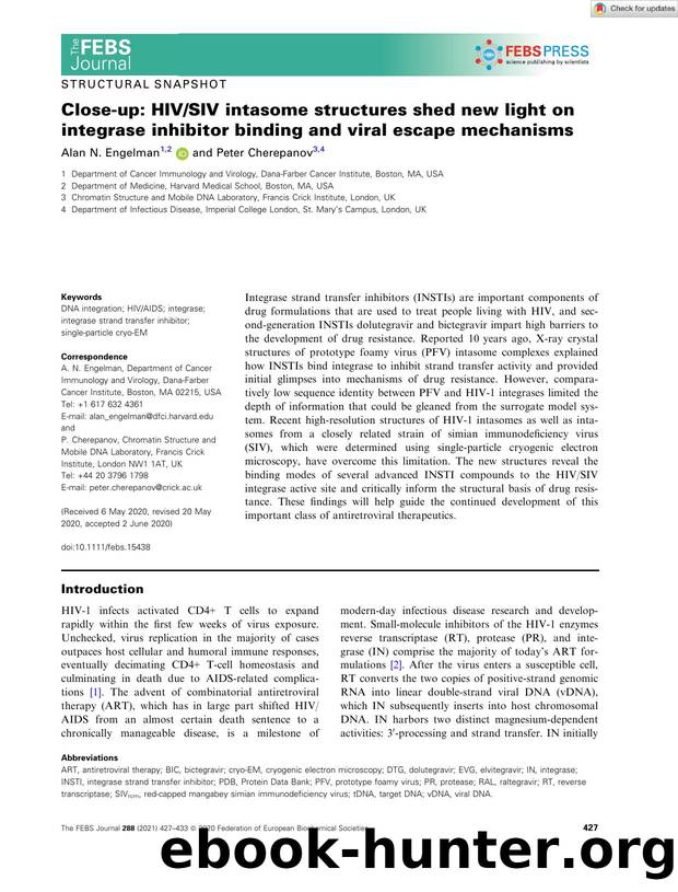 Closeâup: HIVSIV intasome structures shed new light on integrase inhibitor binding and viral escape mechanisms by Unknown