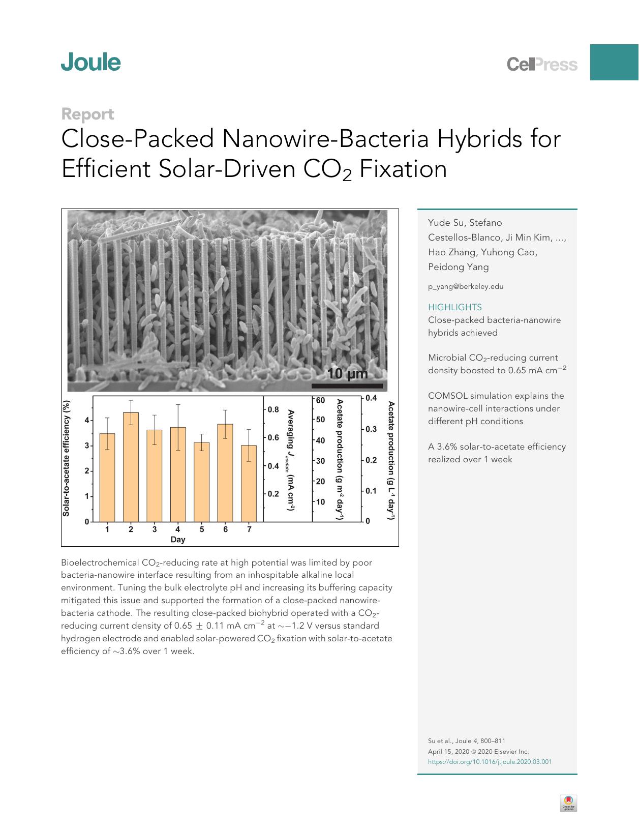 Close-Packed Nanowire-Bacteria Hybrids for Efficient Solar-Driven CO2 Fixation by Yude Su