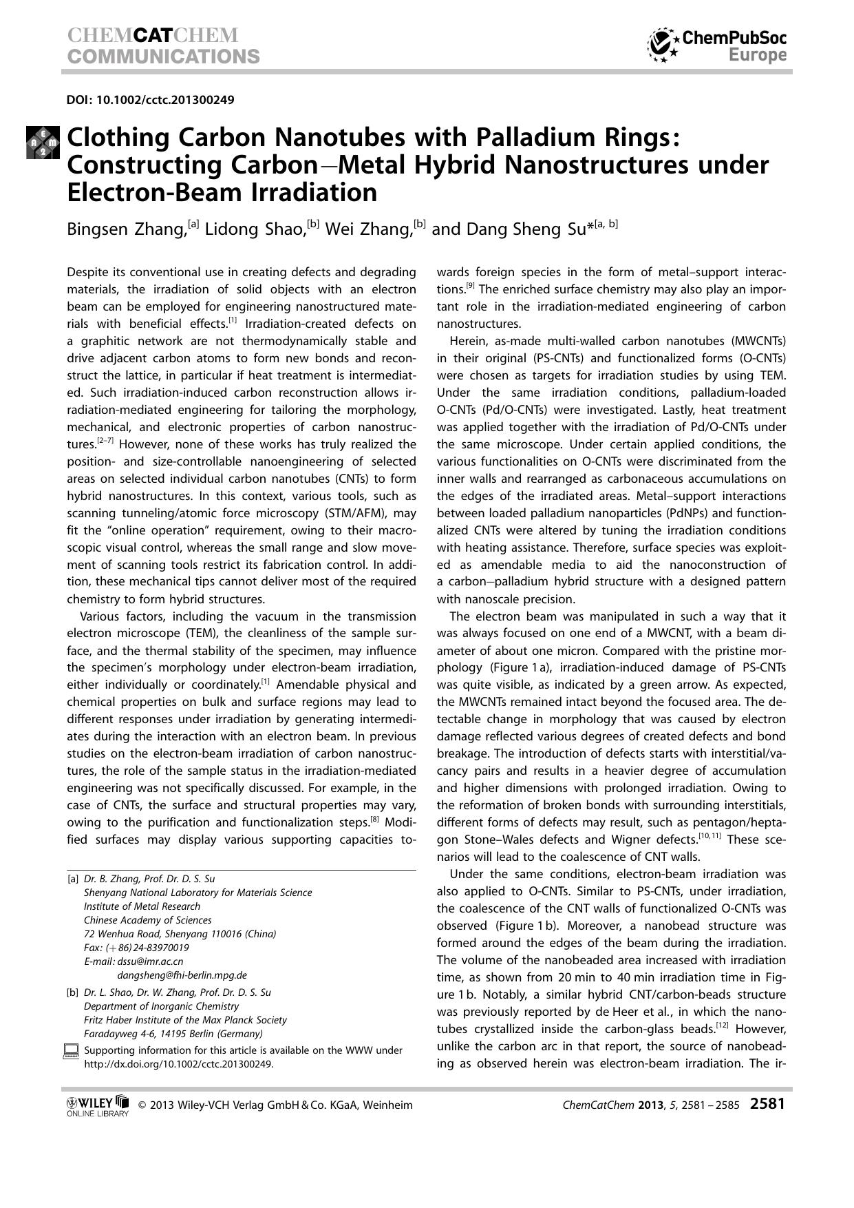Clothing Carbon Nanotubes with Palladium Rings: Constructing CarbonMetal Hybrid Nanostructures under ElectronBeam Irradiation by Unknown
