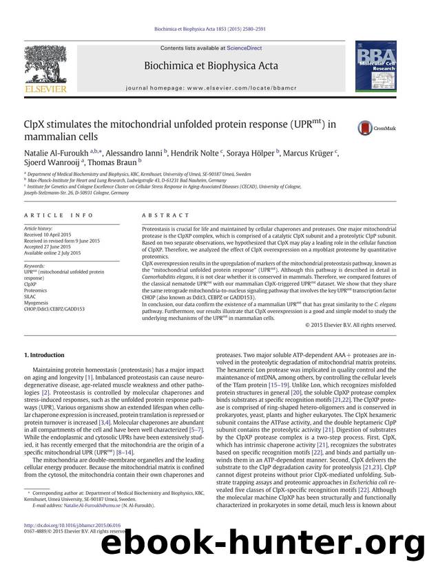 ClpX stimulates the mitochondrial unfolded protein response (UPRmt) in mammalian cells by unknow