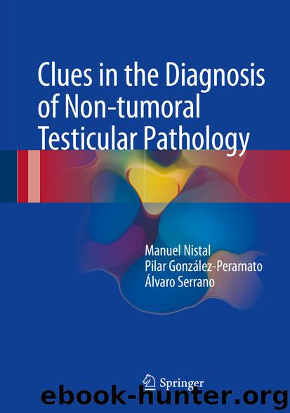 Clues in the Diagnosis of Non-tumoral Testicular Pathology by Manuel Nistal Pilar González-Peramato & Álvaro Serrano