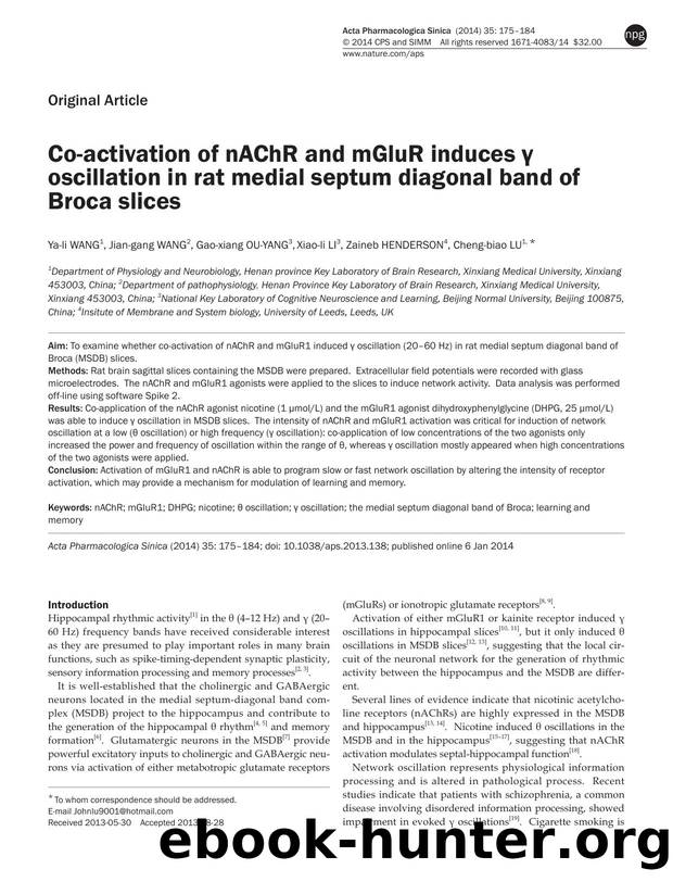 Co-activation of nAChR and mGluR induces Î³ oscillation in rat medial septum diagonal band of Broca slices by Ya-li Wang & Jian-gang Wang & Gao-xiang Ou-yang & Xiao-li Li & Zaineb Henderson & Cheng-biao Lu