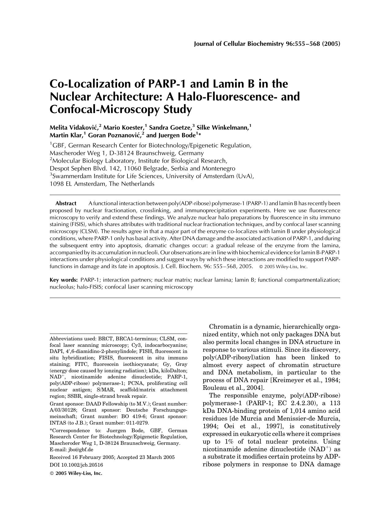 Co-localization of PARP-1 and lamin B in the nuclear architecture: A halo-fluorescence- and confocal-microscopy study by Unknown