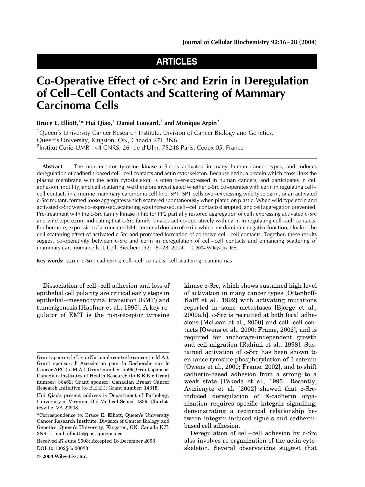Co-operative effect of c-Src and ezrin in deregulation of cell-cell contacts and scattering of mammary carcinoma cells by Unknown