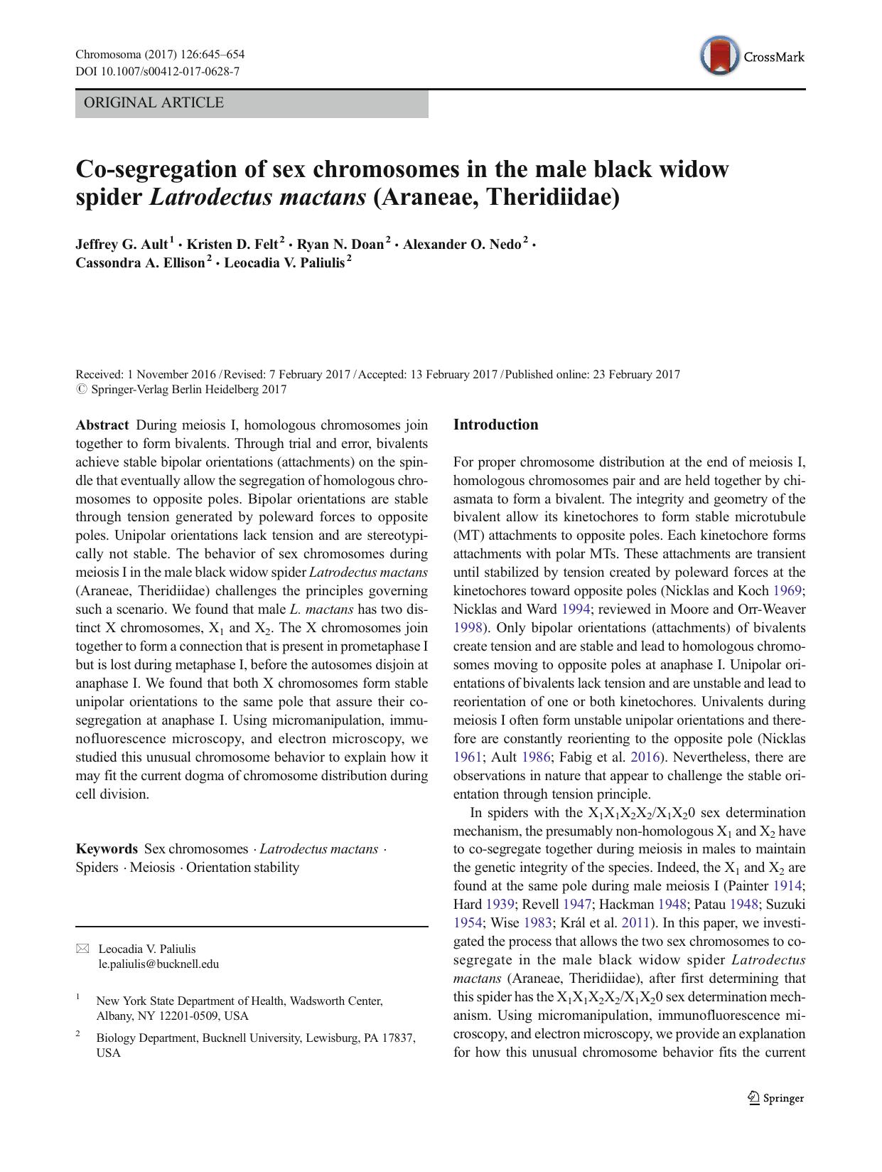 Co-segregation of sex chromosomes in the male black widow spider Latrodectus mactans (Araneae, Theridiidae) by unknow