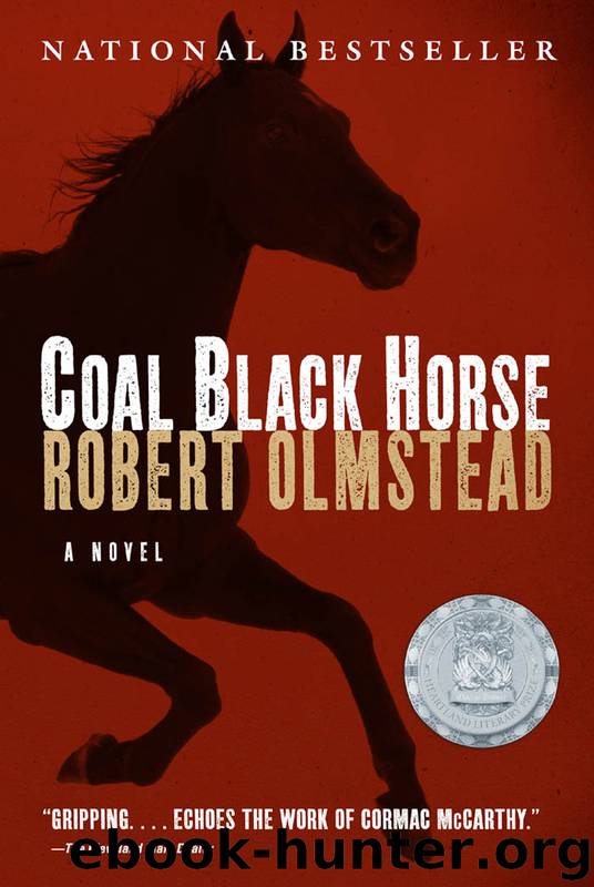 Coal Black Horse by Robert Olmstead