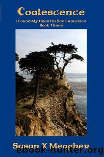 Coalescence by Susan X. Meagher