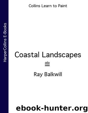 Coastal Landscapes by Ray Balkwill