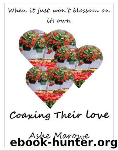 Coaxing Their Love by Ashe Marowe