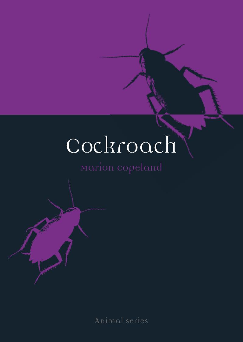 Cockroach (Animal) by Marion Copeland