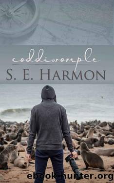 Coddiwomple by Harmon S.E